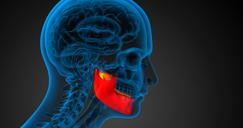 jaw