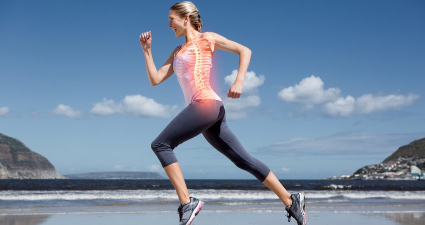 spine