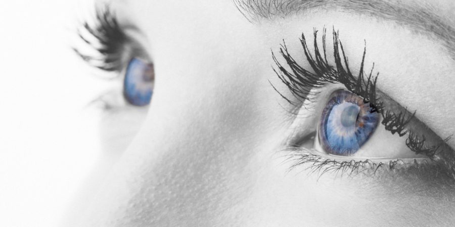 vision